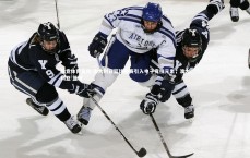 乐竞体育官网-澳大利亚篮球联赛引入电子竞技元素，澳大利亚 篮球